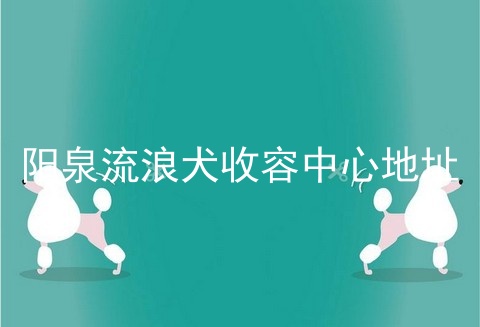 阳泉流浪犬收容中心地址