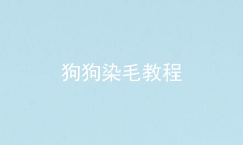狗狗染毛教程