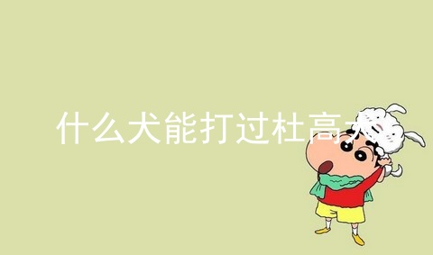 什么犬能打过杜高犬