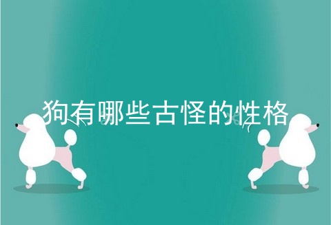 狗有哪些古怪的性格