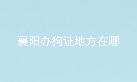 襄阳办狗证地方在哪