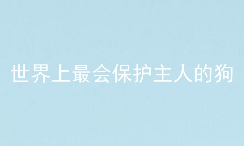 世界上最会保护主人的狗