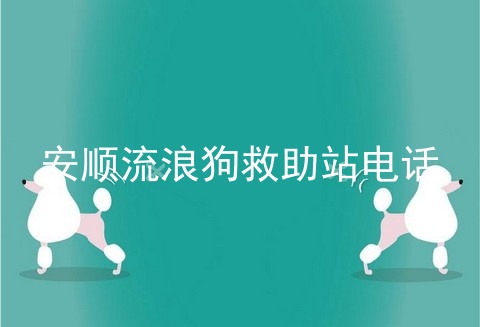 安顺流浪狗救助站电话
