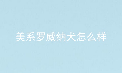 美系罗威纳犬怎么样