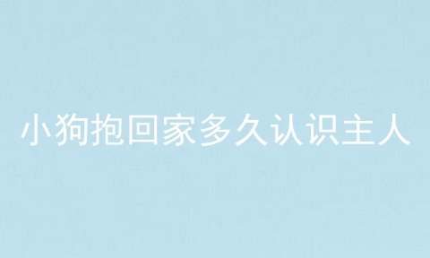 小狗抱回家多久认识主人
