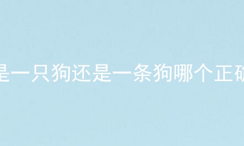 是一只狗还是一条狗哪个正确