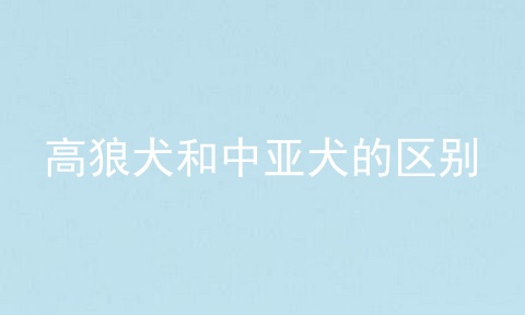 高狼犬和中亚犬的区别