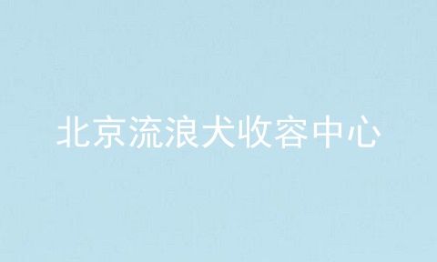北京流浪犬收容中心