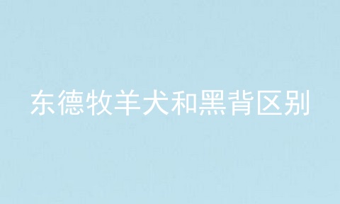 东德牧羊犬和黑背区别