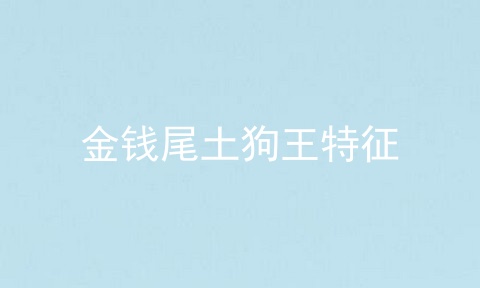金钱尾土狗王特征