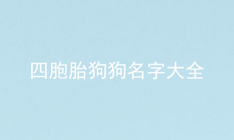 四胞胎狗狗名字大全