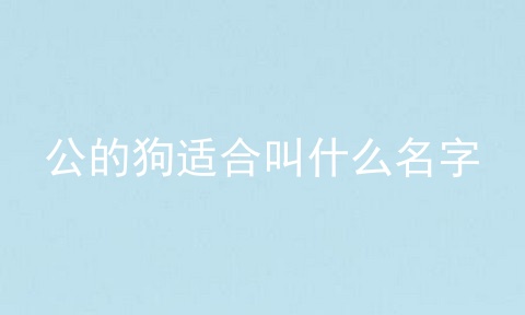 公的狗适合叫什么名字