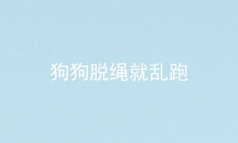 狗狗脱绳就乱跑