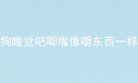 狗睡觉吧唧嘴像嚼东西一样