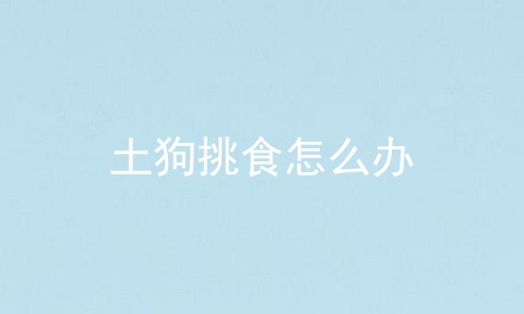 土狗挑食怎么办
