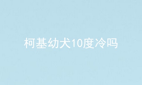柯基幼犬10度冷吗