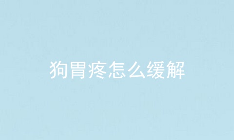 狗胃疼怎么缓解