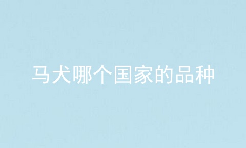 马犬哪个国家的品种