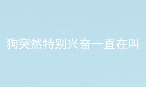 狗突然特别兴奋一直在叫