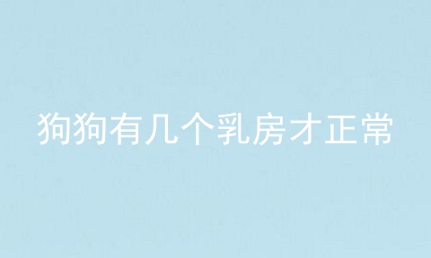 狗狗有几个乳房才正常