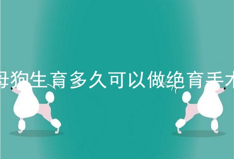 母狗生育多久可以做绝育手术