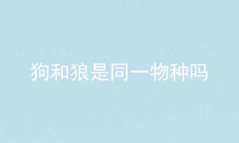 狗和狼是同一物种吗