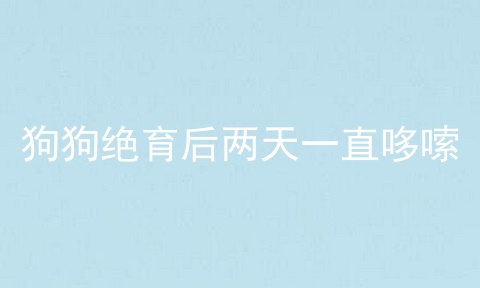 狗狗绝育后两天一直哆嗦