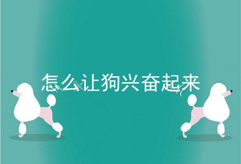 怎么让狗兴奋起来
