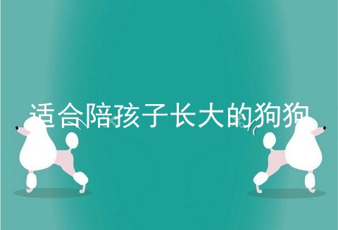 适合陪孩子长大的狗狗