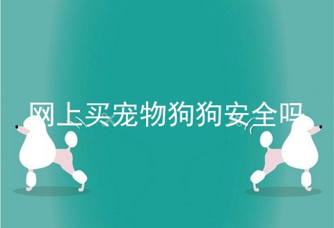 网上买宠物狗狗安全吗