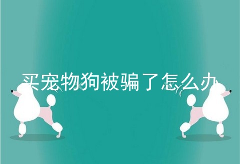 买宠物狗被骗了怎么办