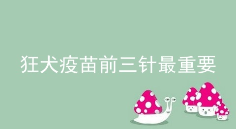 狂犬疫苗前三针最重要