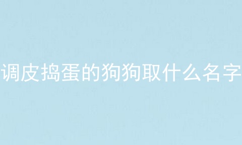 调皮捣蛋的狗狗取什么名字