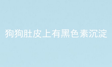 狗狗肚皮上有黑色素沉淀
