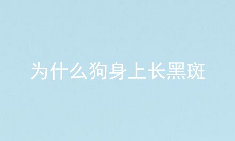 为什么狗身上长黑斑
