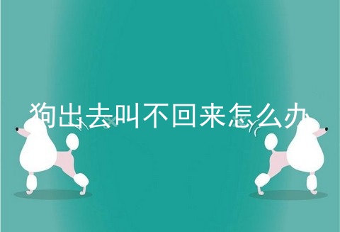 狗出去叫不回来怎么办
