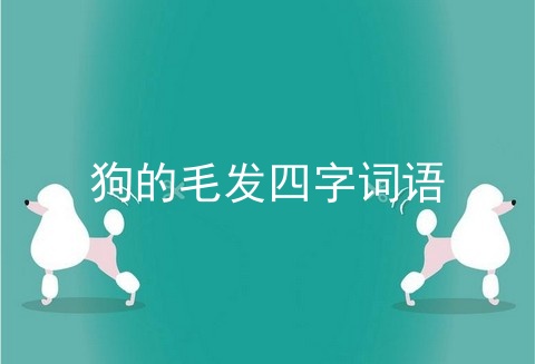 狗的毛发四字词语