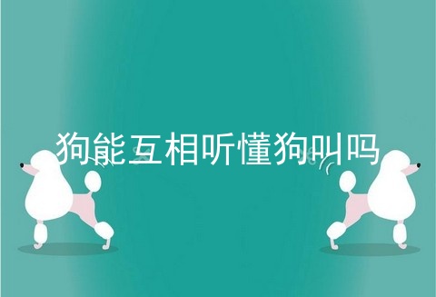 狗能互相听懂狗叫吗
