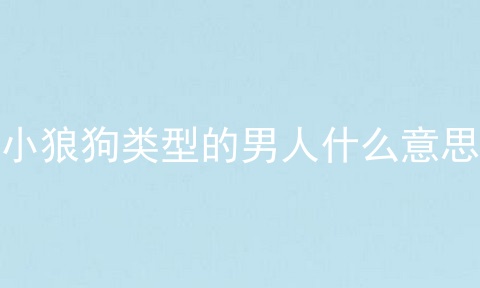 小狼狗类型的男人什么意思