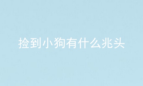 捡到小狗有什么兆头