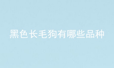 黑色长毛狗有哪些品种