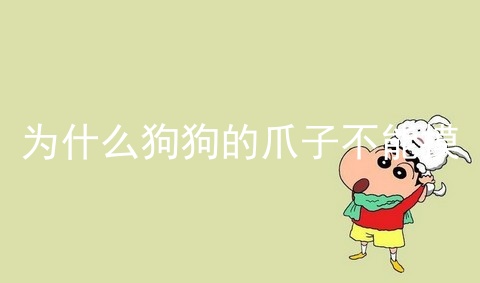 为什么狗狗的爪子不能摸