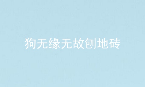狗无缘无故刨地砖