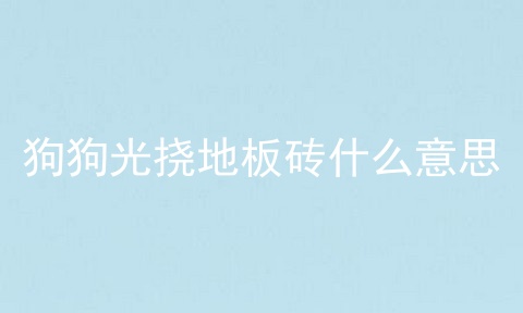 狗狗光挠地板砖什么意思