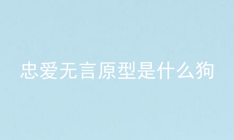 忠爱无言原型是什么狗