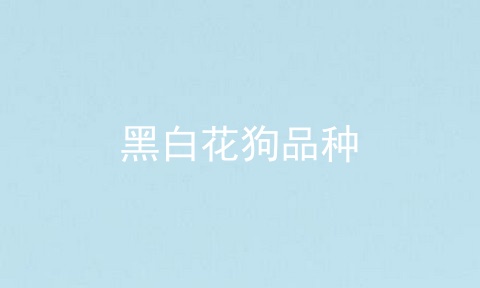 黑白花狗品种