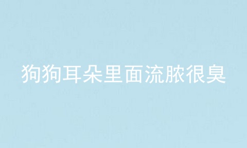 狗狗耳朵里面流脓很臭