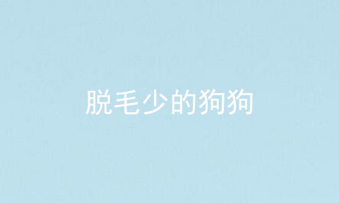 脱毛少的狗狗