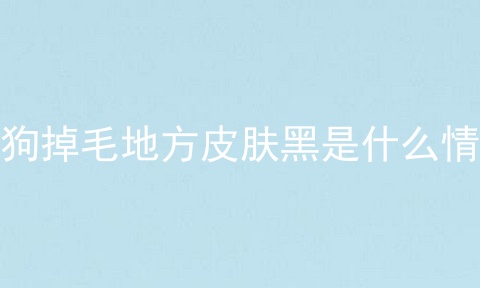 狗狗掉毛地方皮肤黑是什么情况