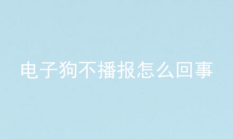 电子狗不播报怎么回事